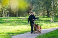Lucky4Dogs-hondenuitlaatservice-hondentraining